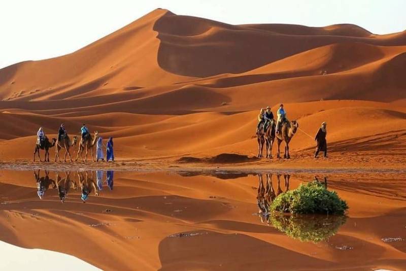 Camel trekking excursion across Sahara Desert dunes with travelers featured during 6 days tour from Tangier to Marrakech.