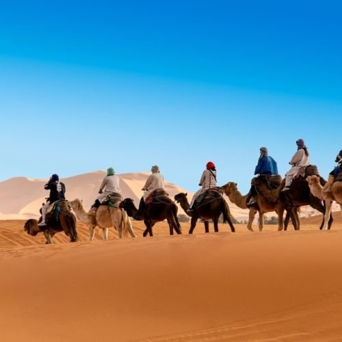 Tourists riding camels across the Erg Chebbi dunes during Marrakech desert tours 3 days adventure in Sahara Morocco.