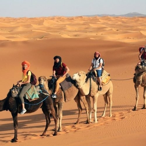 Guided camel trekking excursion across Erg Chigaga dunes in Sahara Desert as part of moroccocameltrips adventure experience.