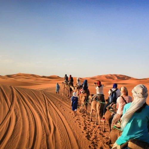 Camel caravan crossing Erg Chebbi dunes near Merzouga during Marrakech to Fes desert tour 4 days in the Sahara Desert.