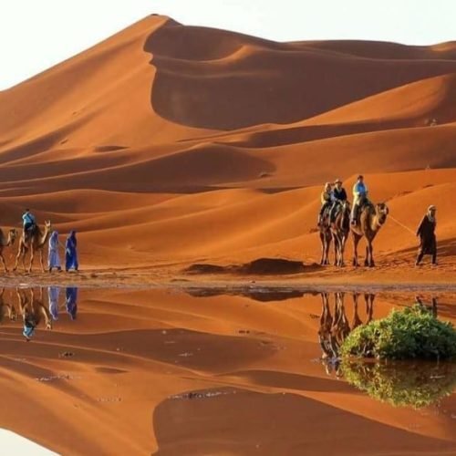 Camel trekking excursion across Sahara Desert dunes with travelers featured during 6 days tour from Tangier to Marrakech.